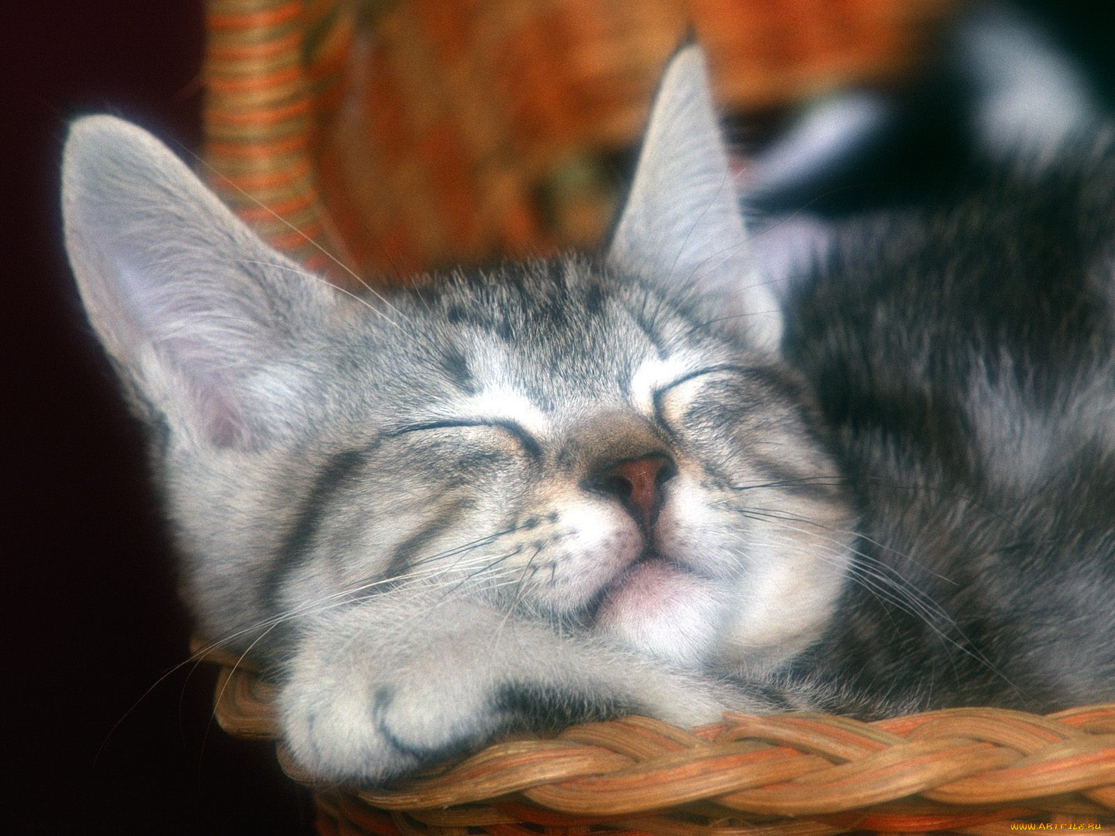 peacefull, slumbe, , 